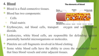 4. Blood
 Blood is a fluid connective tissues.
 Blood has two components:
o Cells
o Fluid matrix
 Erythrocytes, red blood cells, transport oxygen and some carbon
dioxide.
 Leukocytes, white blood cells, are responsible for defending against
potentially harmful microorganisms or molecules.
 Platelets are cell fragments involved in blood clotting.
 Some white blood cells have the ability to cross the endothelial layer
that lines blood vessels and enter adjacent tissues.
 