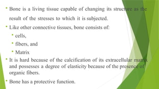  Bone is a living tissue capable of changing its structure as the
result of the stresses to which it is subjected.
 Like other connective tissues, bone consists of:
 cells,
 fibers, and
 Matrix
 It is hard because of the calcification of its extracellular matrix
and possesses a degree of elasticity because of the presence of
organic fibers.
 Bone has a protective function.
 
