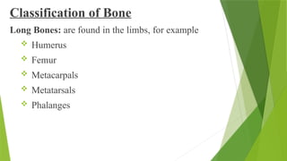 Classification of Bone
Long Bones: are found in the limbs, for example
 Humerus
 Femur
 Metacarpals
 Metatarsals
 Phalanges
 