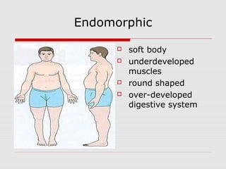 Endomorph Definition Body typing | PPT