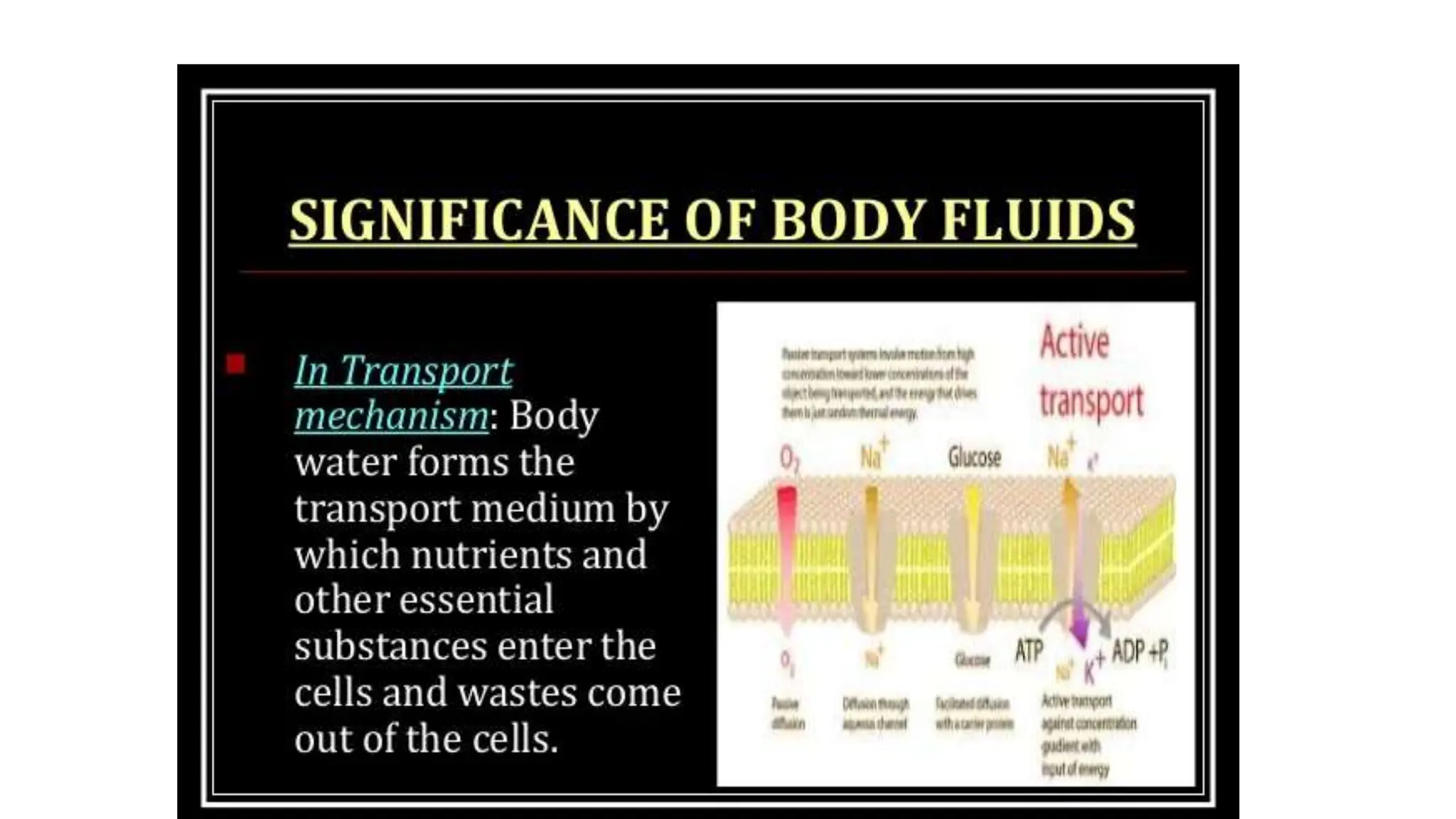 BODY WATER AND BODY FLUIDS physiology of | PPT
