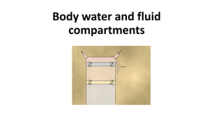 Body water and fluid
compartments
 