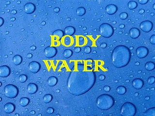 BODY
WATER
Page 4

 