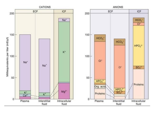 Body water and Osmolality