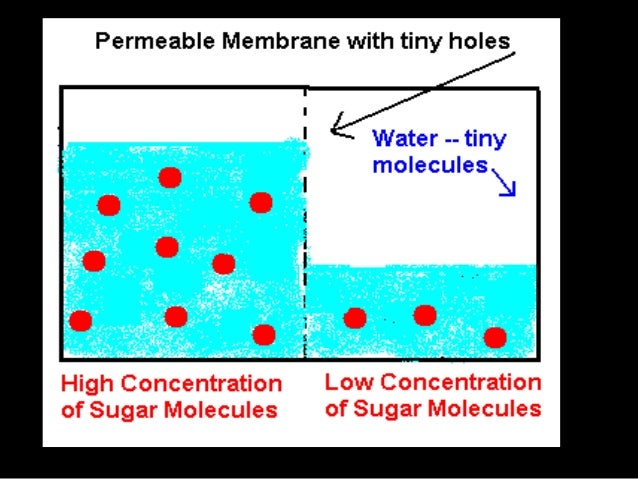 freezing point of water