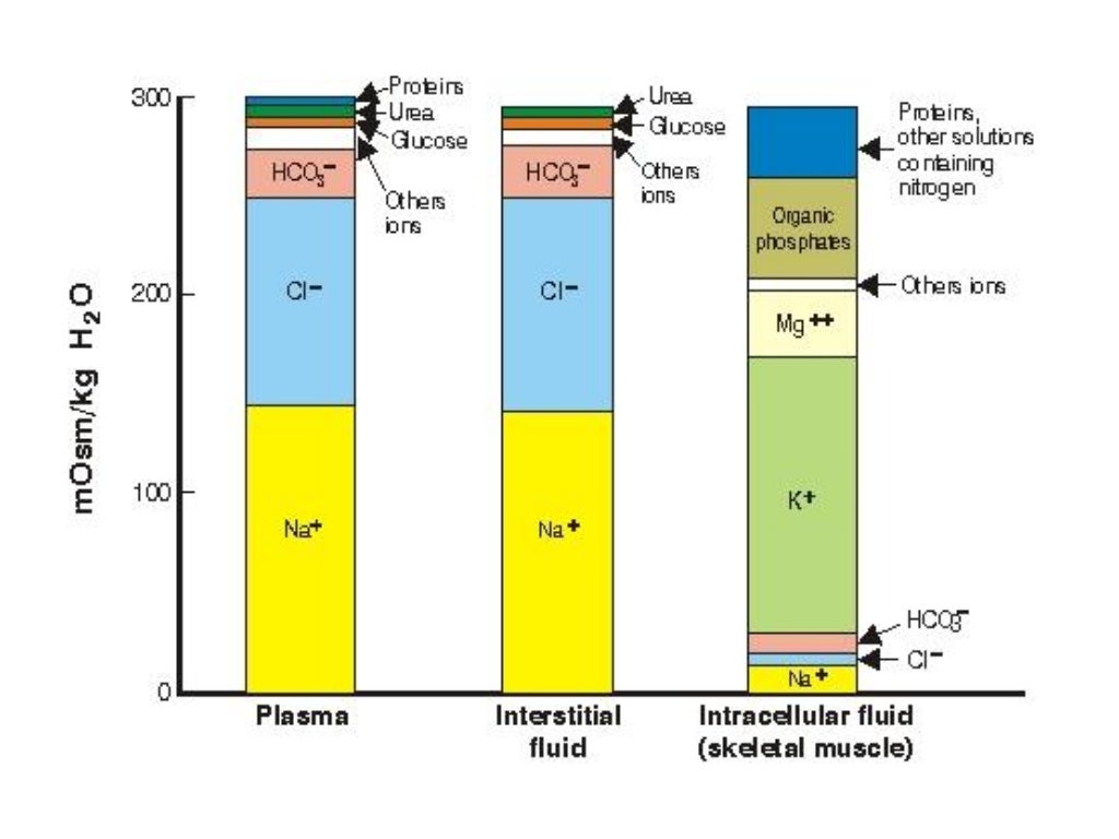 Body water and Osmolality