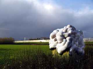 Boekje branding de Oeverlanden