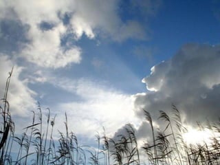 Boekje branding de Oeverlanden