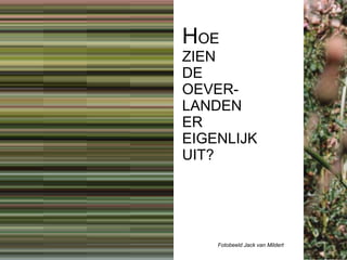 Boekje branding de Oeverlanden