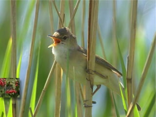 Boekje branding de Oeverlanden