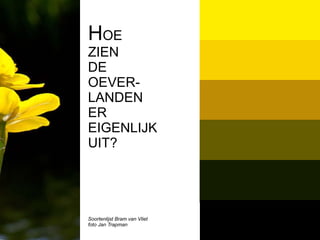 Boekje branding de Oeverlanden