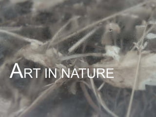 Boekje branding de Oeverlanden