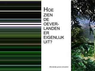 Boekje branding de Oeverlanden