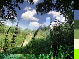 Boekje branding de Oeverlanden