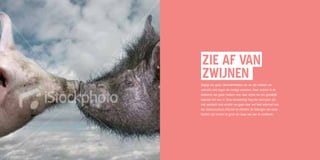 Zie af van
Idunt ate
zwijnen
Henect i
Begrijp ons goed. Dierenliefhebbers als we zijn, hebben we
volstrekt niets tegen die mollige vierpoters. Maar zwijnen in de
betekenis van geluk hebben: nee, daar zetten we ons geestelijk
kapitaal niet voor in. Onze benadering mag dan doorspekt zijn
met aandacht voor emotie: we gaan daar wel heel rationeel mee
om. Gestructureerd, effectief en efficiënt. De belangen van onze
klanten zijn immers te groot om maar wat aan te modderen.
 