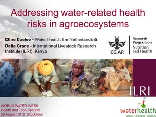 Addressing water-related health
        risks in agroecosystems
  Eline Boelee - Water Health, the Netherlands &
  Delia Grace - International Livestock Research
  Institute (ILRI), Kenya




WORLD WATER WEEK
Health and Food Security                                    ILRI
29 August 2012, Stockholm                  INTERNATIONAL LIVESTOCK RESEARCH INSTITUTE
 