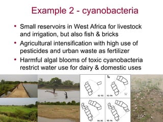 Addressing water-related health risks in agroecosystems