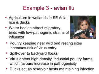Addressing water-related health risks in agroecosystems