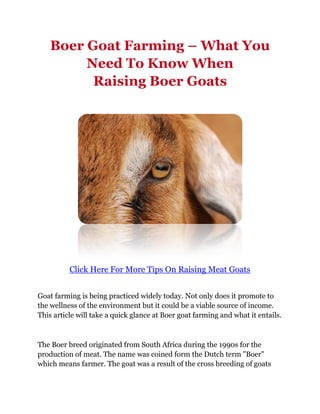Boer Goat Farming – What You
         Need To Know When
          Raising Boer Goats




          Click Here For More Tips On Raising Meat Goats


Goat farming is being practiced widely today. Not only does it promote to
the wellness of the environment but it could be a viable source of income.
This article will take a quick glance at Boer goat farming and what it entails.



The Boer breed originated from South Africa during the 1990s for the
production of meat. The name was coined form the Dutch term "Boer"
which means farmer. The goat was a result of the cross breeding of goats
 