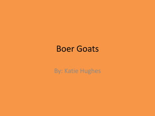 Boer Goats By: Katie Hughes 