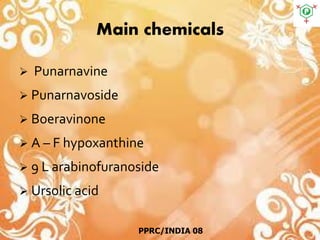 Main chemicals
 Punarnavine
 Punarnavoside
 Boeravinone
 A – F hypoxanthine
 9 L arabinofuranoside
 Ursolic acid
PPRC/INDIA 08
 