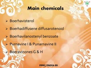 Main chemicals
 Boerhavisterol
 Boerhadiffusene diffusarotenoid
 Boerhavilanostenyl benzoate
 Purnavine I & Punarnavine II
 Boeravinones G & H
PPRC/INDIA 09
 