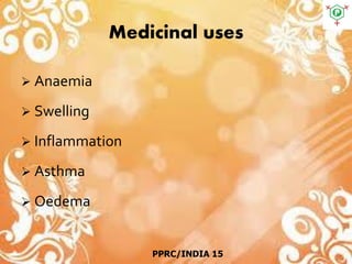 Medicinal uses
 Anaemia
 Swelling
 Inflammation
 Asthma
 Oedema
PPRC/INDIA 15
 