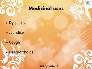 Medicinal uses
 Dyspepsia
 Jaundice
 Cough
 Haemorrhoids
PPRC/INDIA 18
 
