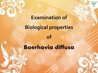 Examination of
Biological properties
of
Boerhavia diffusa
 
