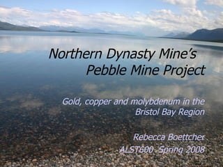 Northern Dynasty Mine’s  Pebble Mine Project Gold, copper and molybdenum in the Bristol Bay Region Rebecca Boettcher ALST600  Spring 2008 