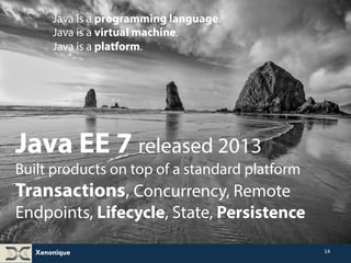 Java is a programming language. 
Java is a virtual machine. 
Java is a platform. 
Xenonique 
14 
Java EE 7 released 2013 
Built products on top of a standard platform 
Transactions, Concurrency, Remote 
Endpoints, Lifecycle, State, Persistence 
 