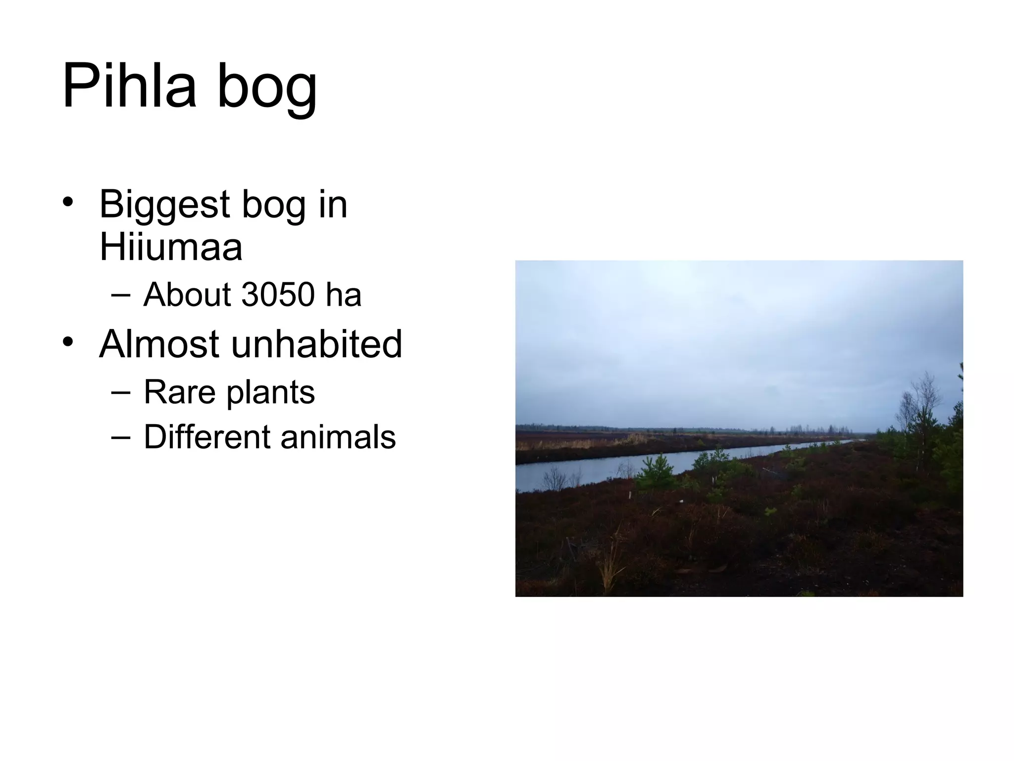 Pihla bog
• Biggest bog in
Hiiumaa
– About 3050 ha
• Almost unhabited
– Rare plants
– Different animals
 