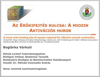 AZ ERŐKIFEJTÉS KULCSA: A                                                     MIOZIN
                 AKTIVÁCIÓS HUROK
A novel actin binding site of myosin required for effective muscle contraction.
Várkuti BH, Yang Z, Kintses B, Erdélyi P, Bárdos-Nagy I, Kovács AL, Hári P, Kellermayer M, Vellai T, Málnási-Csizmadia A
Nat Struct Mol Biol. 2012 Feb 12;19(3):299-306. doi: 10.1038/nsmb.2216.


Boglárka Várkuti

Eötvös Loránd Tudományegyetem
Biológiai Intézet, Biokémiai Tanszék
Molekuláris Biológiai és Bioinformatikai Kutatócsoport
Vezető: Dr. Málnási-Csizmadia András

téma: enzimek szerkezetvizsgálata
 