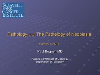 Pathology and The Pathology of Neoplasia
February 11, 2016
Paul Bogner, MD
Associate Professor of Oncology
Department of Pathology
 