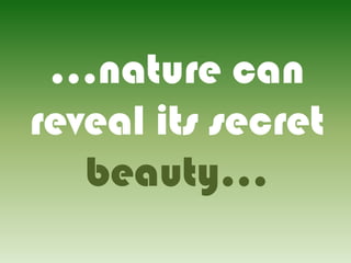 ...nature can
reveal its secret
beauty...