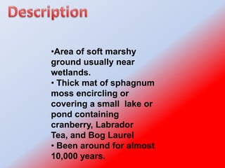 DescriptionArea of soft marshy ground usually near wetlands.
