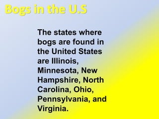Been around for almost 10,000 years. LocationGlaciated Northeast and Great Lake regions covering a pond or lake.