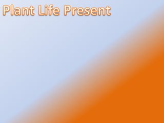 Bogs in the U.SThe states where bogs are found in the United States are Illinois, Minnesota, New Hampshire, North Carolina, Ohio, Pennsylvania, and Virginia. 