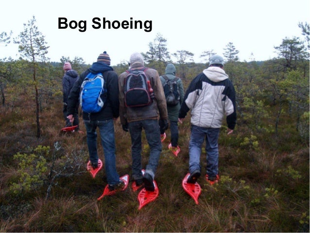Facebook Post Shoeing Baby Toy Repeating Naby Conversation Facebook Post Shoeing Baby Toy Repeating Naby Conversation