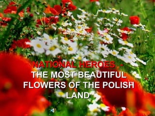 NATIONAL HEROES  -  THE MOST BEAUTIFUL FLOWERS OF THE POLISH LAND   