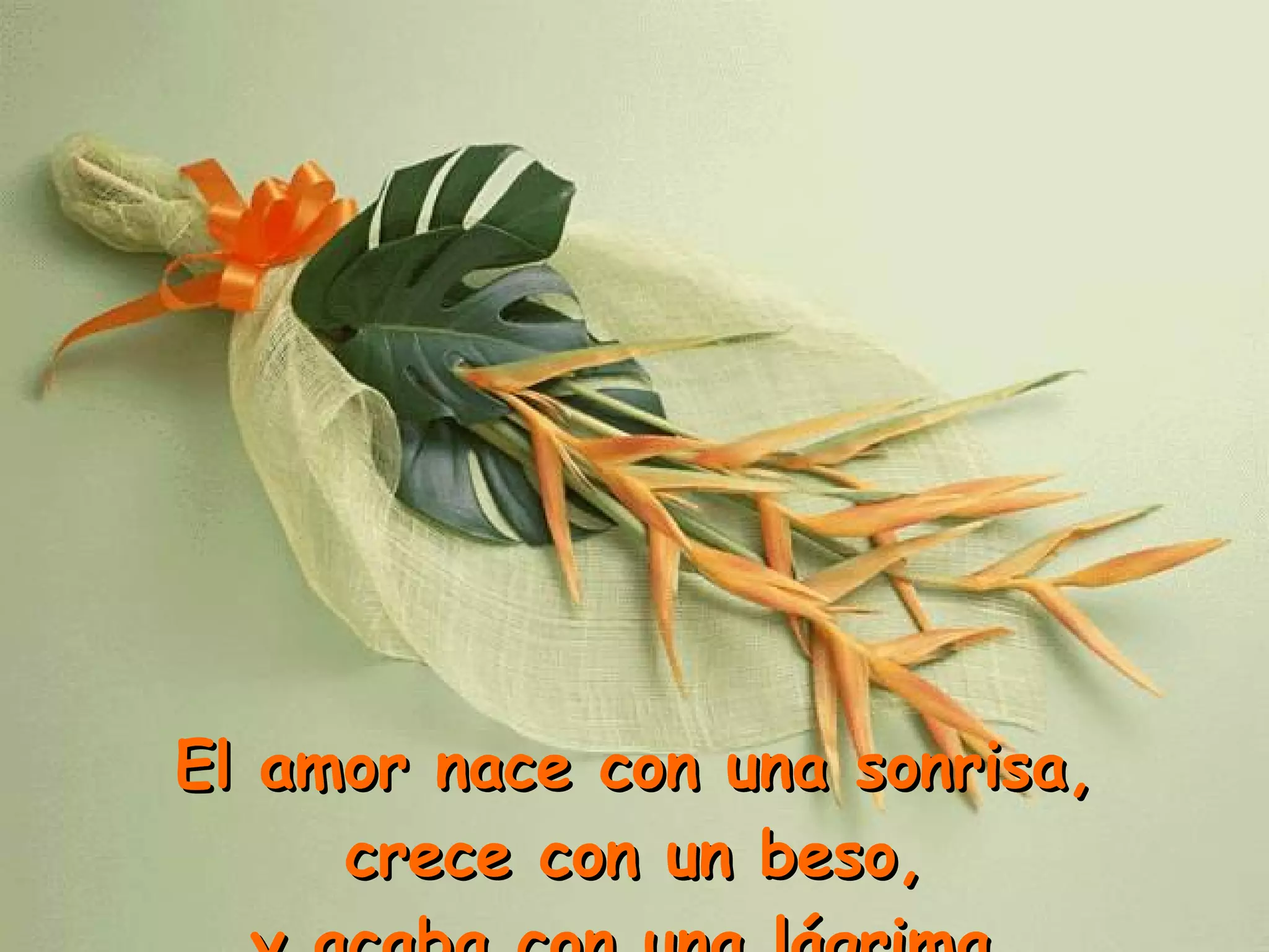 El amor nace con una sonrisa,  crece con un beso, y acaba con una lágrima. 