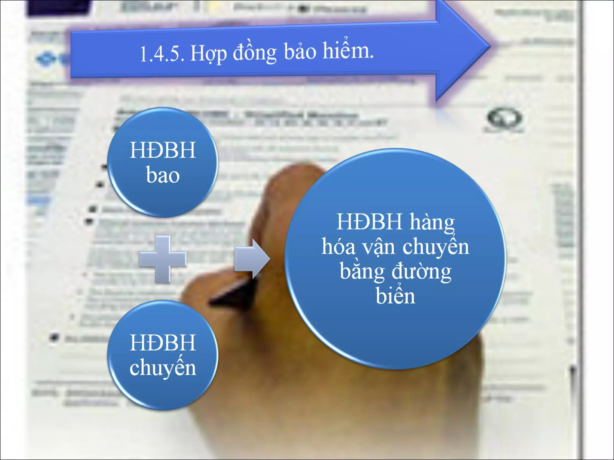 Bảo hiểm hàng hoá vận chuyển bằng tầu biển