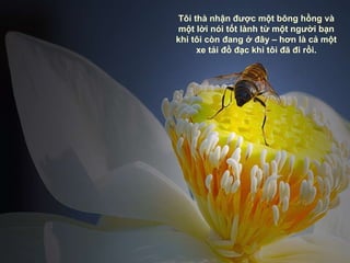 Tôi thà nhận được một bông hồng và một lời nói tốt lành từ một người bạn khi tôi còn đang ở đây – hơn là cả một xe tải đồ đạc khi tôi đã đi rồi. 