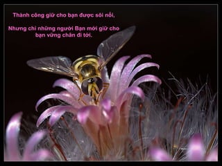 Thành công giữ cho bạn được sôi nổi, Nhưng chỉ những người Bạn mới giữ cho bạn vững chân đi tới. 