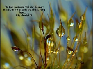 Khi bạn nghĩ rằng Thế giới đã quay mặt đi, thì nó lại đang trở về sau lưng bạn …… Hãy nhìn lại đi. 