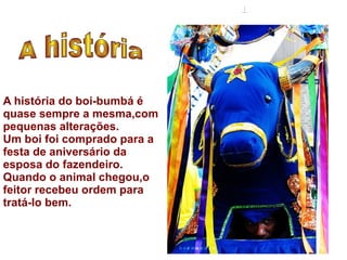 A história do boi-bumbá é quase sempre a mesma,com pequenas alterações. Um boi foi comprado para a festa de aniversário da esposa do fazendeiro. Quando o animal chegou,o feitor recebeu ordem para tratá-lo bem. A história 