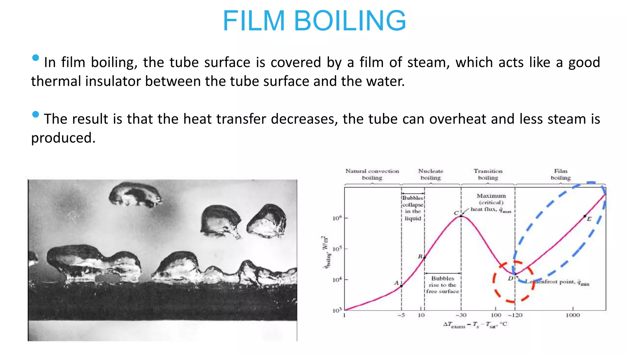 FILM BOILING
•In film boiling, the tube surface is covered by a film of steam, which acts like a good
thermal insulator between the tube surface and the water.
•The result is that the heat transfer decreases, the tube can overheat and less steam is
produced.
 