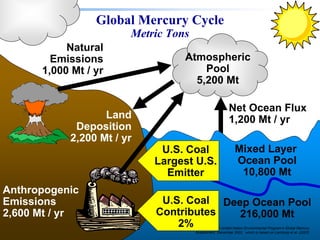 188678 RAB 03/11/04
Global Mercury Cycle
Metric Tons
Deep Ocean Pool
216,000 Mt
Mixed Layer
Ocean Pool
10,800 Mt
Atmospheric
Pool
5,200 Mt
Natural
Emissions
1,000 Mt / yr
Anthropogenic
Emissions
2,600 Mt / yr
Net Ocean Flux
1,200 Mt / yr
Land
Deposition
2,200 Mt / yr
Adapted from United Nation Environmental Program’s Global Mercury
Assessment, December 2002, which is based on Lamborg et al. (2002)
U.S. Coal
Contributes
2%
U.S. Coal
Largest U.S.
Emitter
 