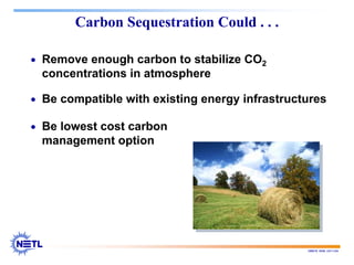 188678 RAB 03/11/04
Carbon Sequestration Could . . .
• Remove enough carbon to stabilize CO2
concentrations in atmosphere
• Be compatible with existing energy infrastructures
• Be lowest cost carbon
management option
 