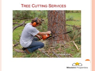 TREE CUTTING SERVICES